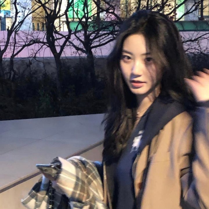厨房的爱丽丝